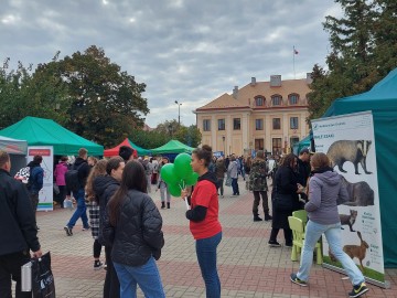 XIV Ekologiczny Hubertus Łęczycki, 